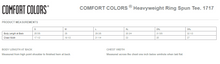 Load image into Gallery viewer, Comfort Colors Short Sleeve Tee

